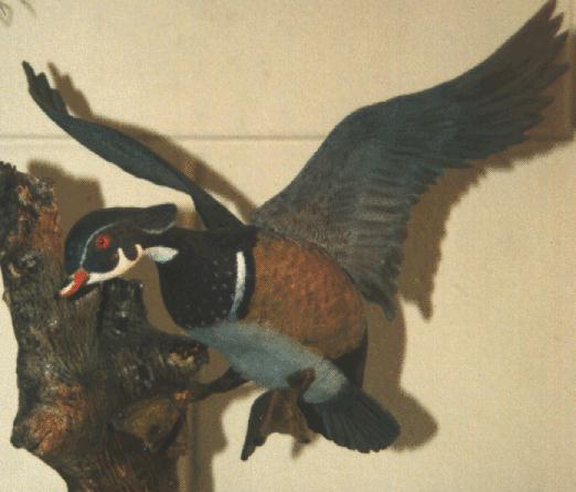 flying wood duck